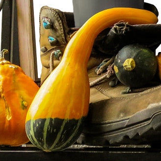 Gourd - Pear (Small), Bi-Color - SeedsNow.com