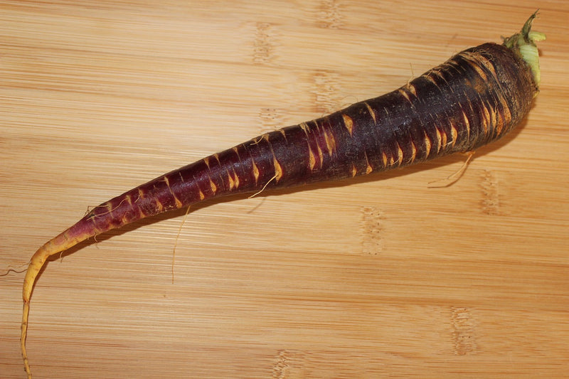 Carrot - Cosmic Purple, 7" Long