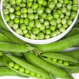 Buy Green Arrow Pea Seeds High-quality Heirloom Seeds | Buy online in USA!