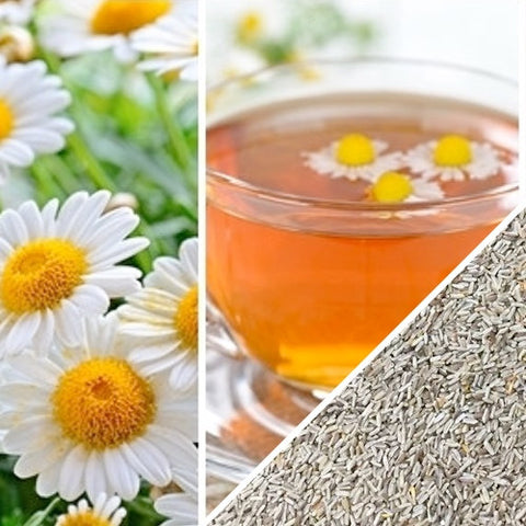 perennial wildflower seeds home grown Wildflower Seeds - Flower Seed Pack [17 Variety] - Perennial Flower Seeds for Attracting Birds & Butterflies