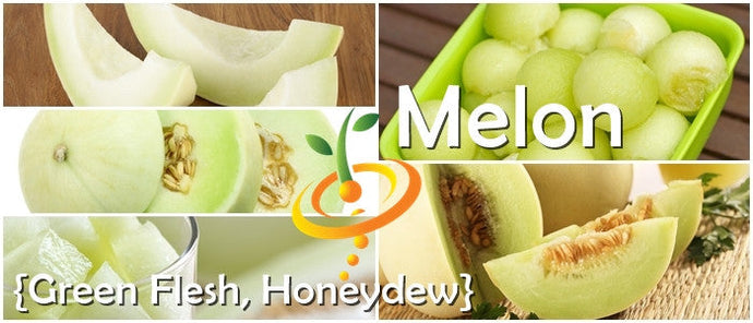 Honeydew melon with green flesh shown in various sliced and whole forms alongside melon balls and seeds