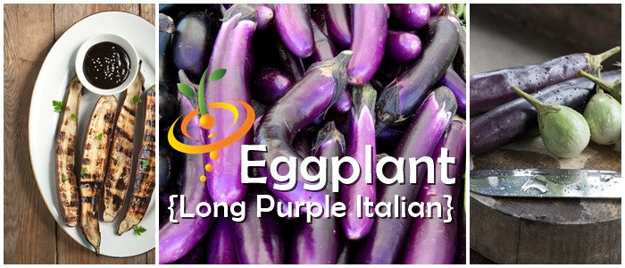 Eggplant - Long Purple Italian – SeedsNow.com