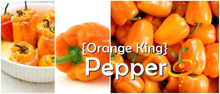 Pepper - Orange King.