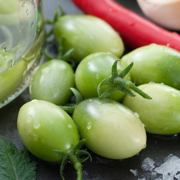 Tomato - Green Grape (Indeterminate) - SeedsNow.com