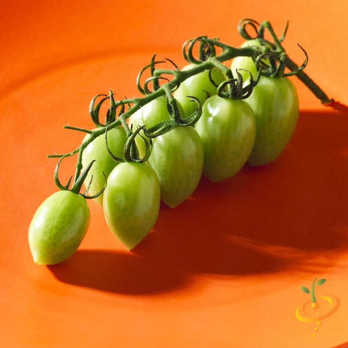 Tomato - Green Grape (Indeterminate) seeds – SeedsNow.com