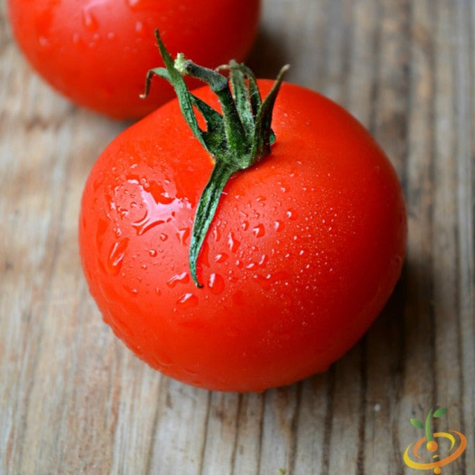 Tomato - Atkinson (Indeterminate)