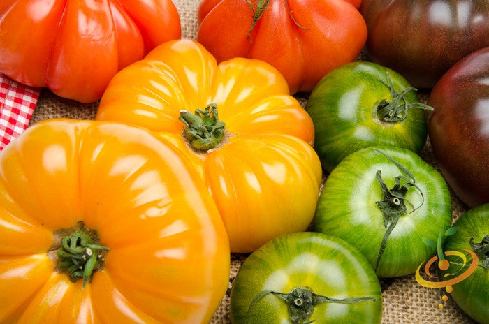 Heirloom Yellow Beefsteak Tomato Seeds NON-GMO