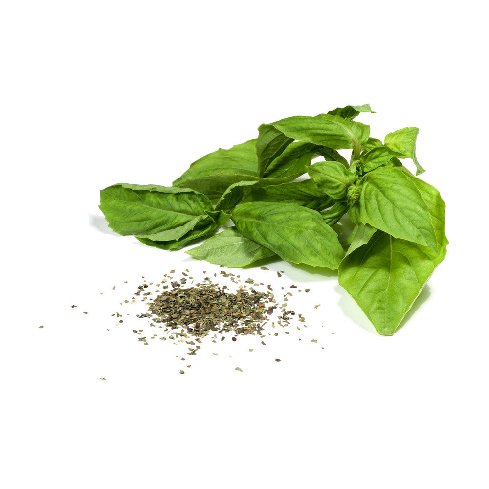 Buy Basil, Cinnamon (Mexican Basil)! 1 Online USA supplier for organic