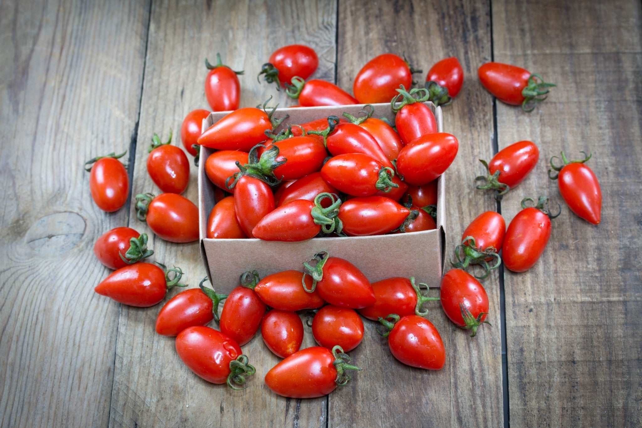 Alphabetically: Z-A - All Tomato Seeds – SeedsNow.com