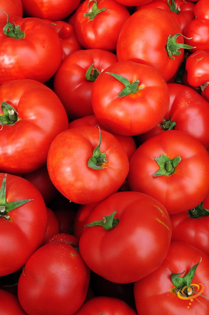 Heirloom Caribe Tomato Seeds 100% Non-GMO