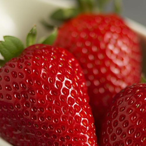 Highquality Strawberry Roots & Bundles Albion seeds from